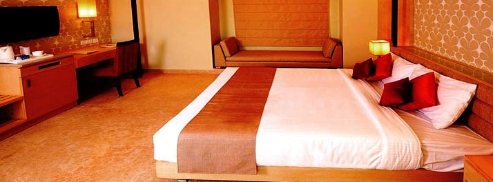 177/Tivoli Cititel Boutique Hotel - New Delhi 06.jpg